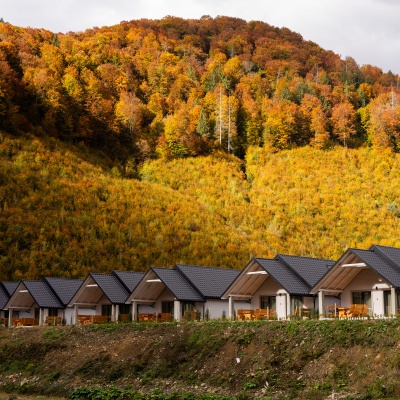Cottages Mizhhirya Mountain Resort