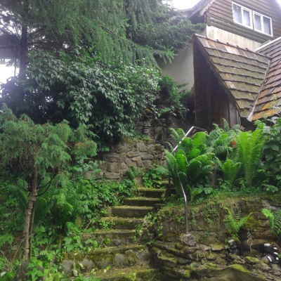 Homestead 'U Dyadi Vani' Vyshka