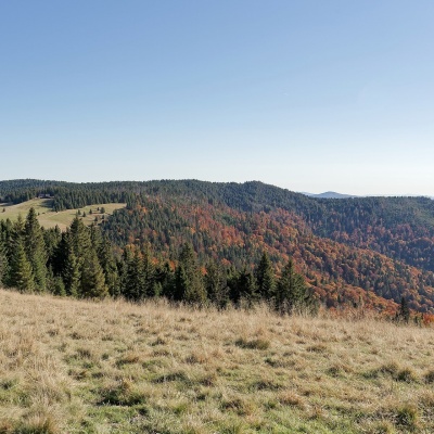 Hala Długa below Turbacz