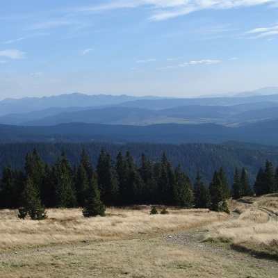 Hala Rysianka