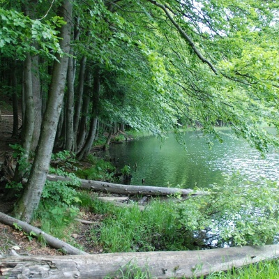 Duszatyn Lakes (Jeziorka Duszatyńskie)