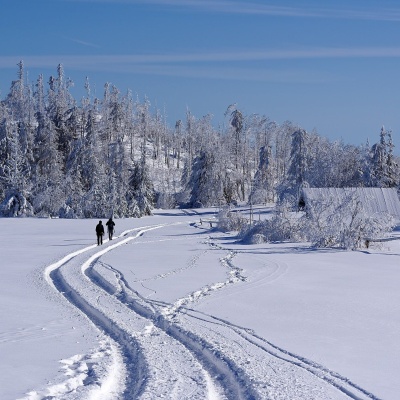 Wierch Lubania Glade