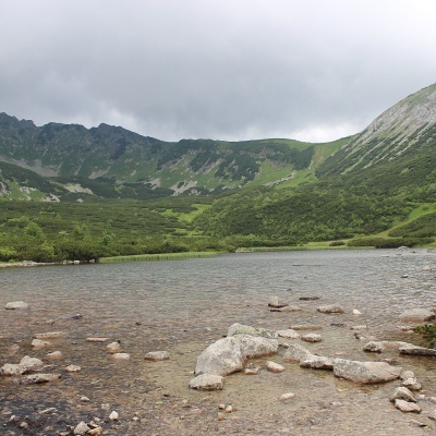 Білі плеса