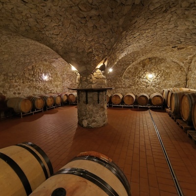 Magula Winery, Suchá nad Parnou: biodynamic wines and a farm