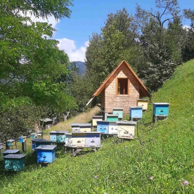 Пасіка Романа Бойчука, Рахів