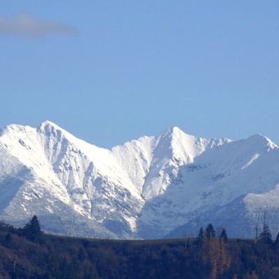 Баніков