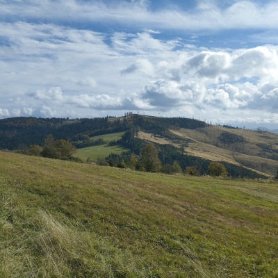 Chotárny kopec