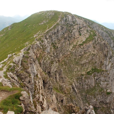 Ciemniak
