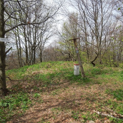 Черенін