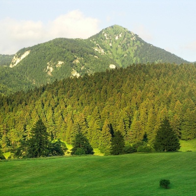 Drienok