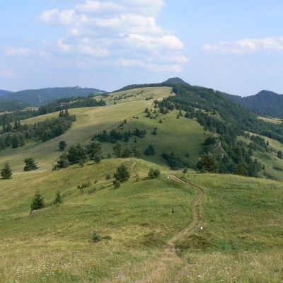 Дурбашка