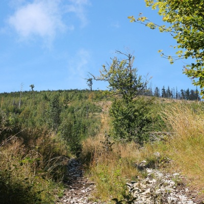 Fabowa Hala