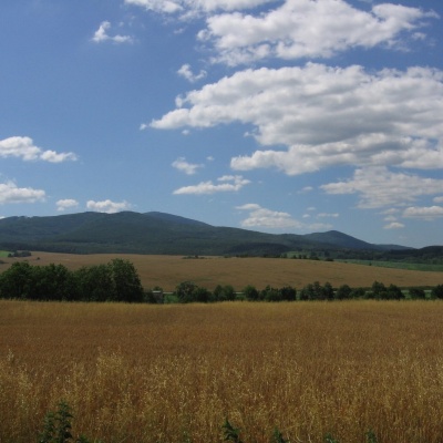 Іновець