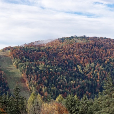 Jaworzyna Krynicka
