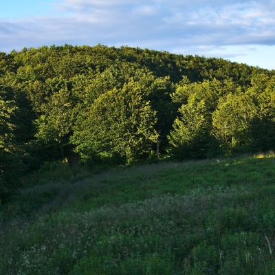 Каменна