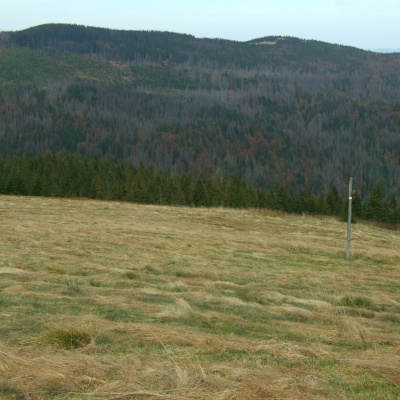 Kudłoń