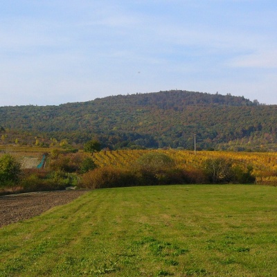 Kukla