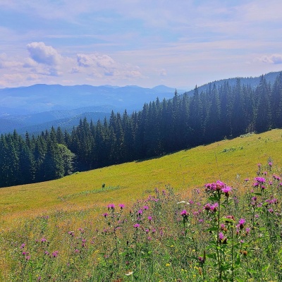 Гора Кичера (Ворохта)