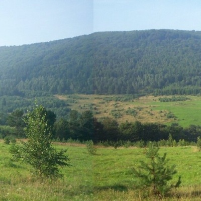 Лацкова