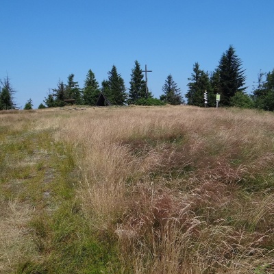 Leskowiec