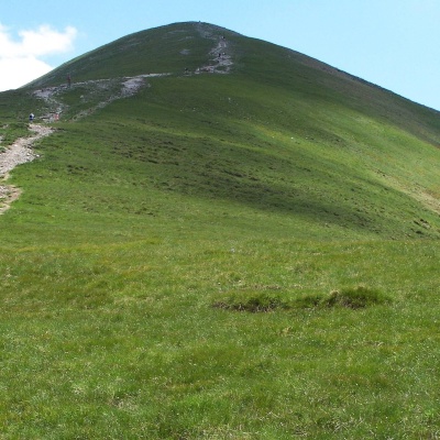 Małołączniak