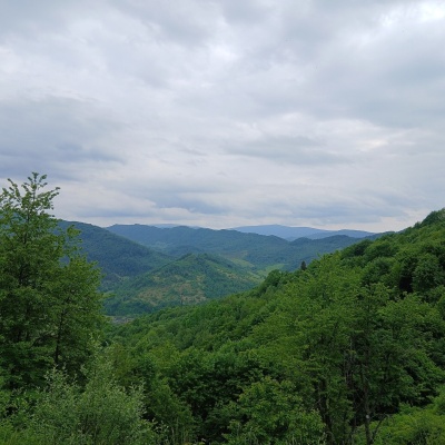 Гора Ополонек