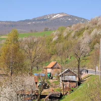 Mount Pikui