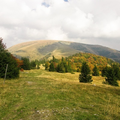 Ploská