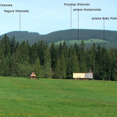 Przysłop Witowski