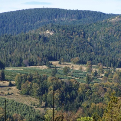 Radziejowa