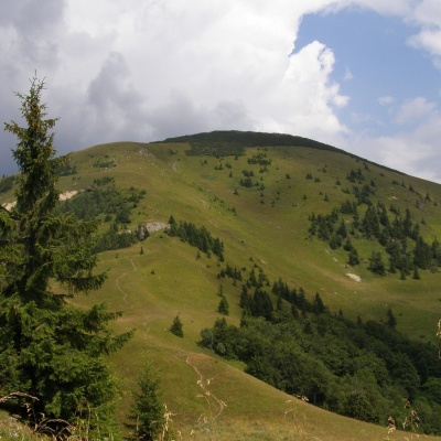 Rakytov