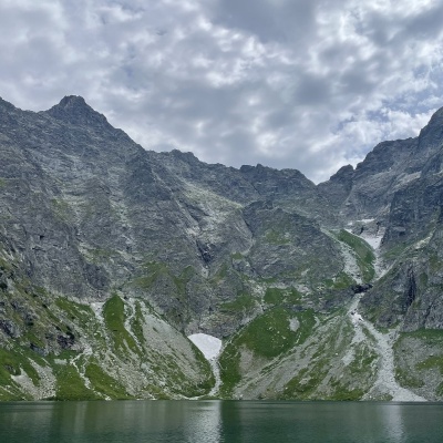 Риси