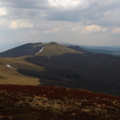 Гора Старостина