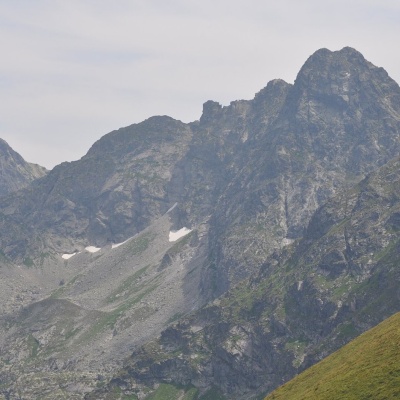 Świnica