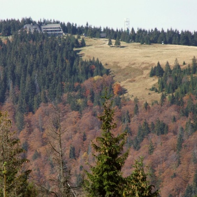 Turbacz