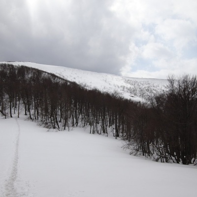 Велика Равка