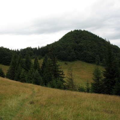 Високі Скельки