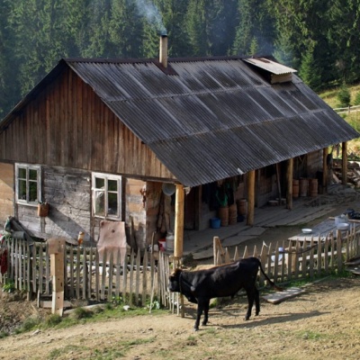 Połonina Szczawnyk (Jawirnyk)