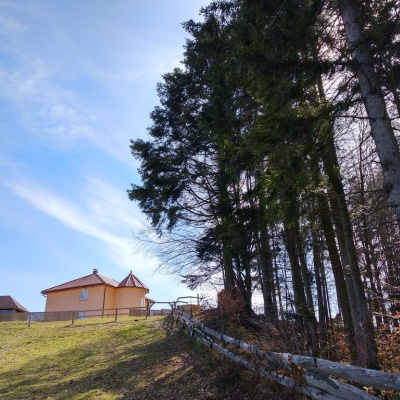 Homestead 'Valeriya' Vovchynets