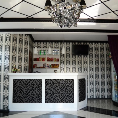 Hotel 'Everest' Mykytyntsi