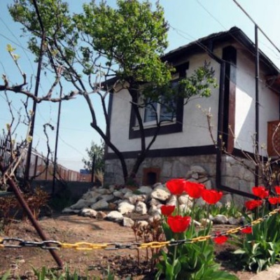 Kompleks hotelowy 'Villa Elena' Mykulychyn