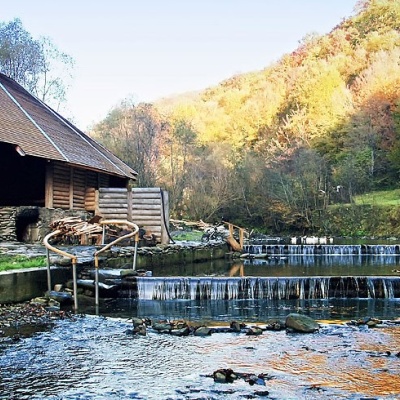 Complex 'Myslyvska Sadiba' Lumshory (5 Chans, Pool, Beach)