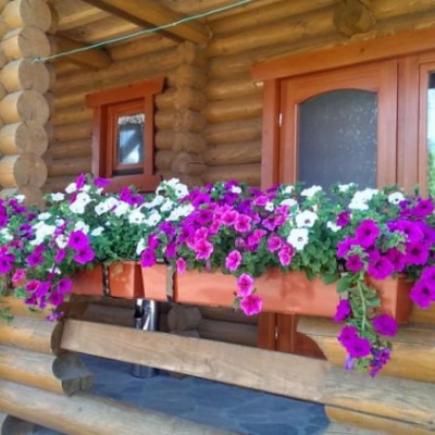 Private Homestead 'Chotyry Sezony' Berehove