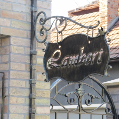 Rodzinny Pensjonat 'Lambert' Berehove