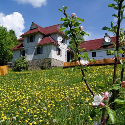 Homestead 'Rakhiv Play'