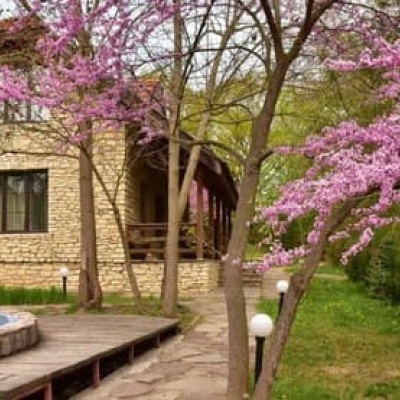 Білий Бізон. Хмелева