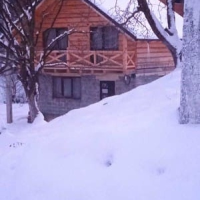 Цвіт Яблуні