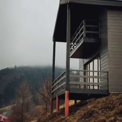 Forest Cliff