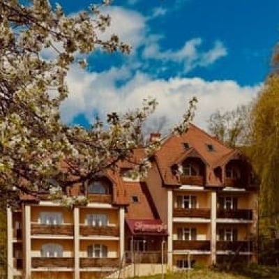 Hortensiya