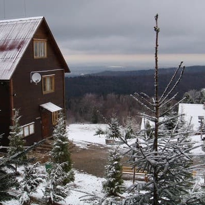 Карпатські полонини